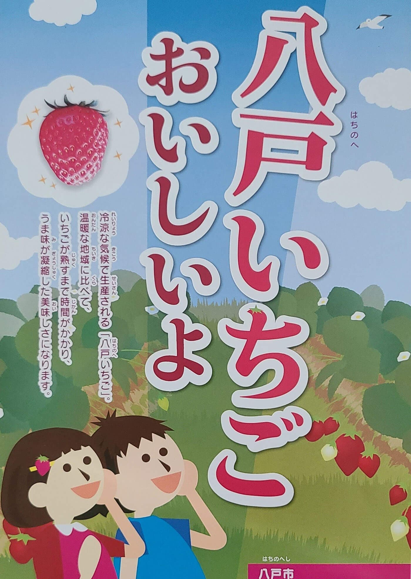 八戸中央青果果実部（情熱市場）のいちごの伝道師　若松郁夫さん（50代）の写真4
