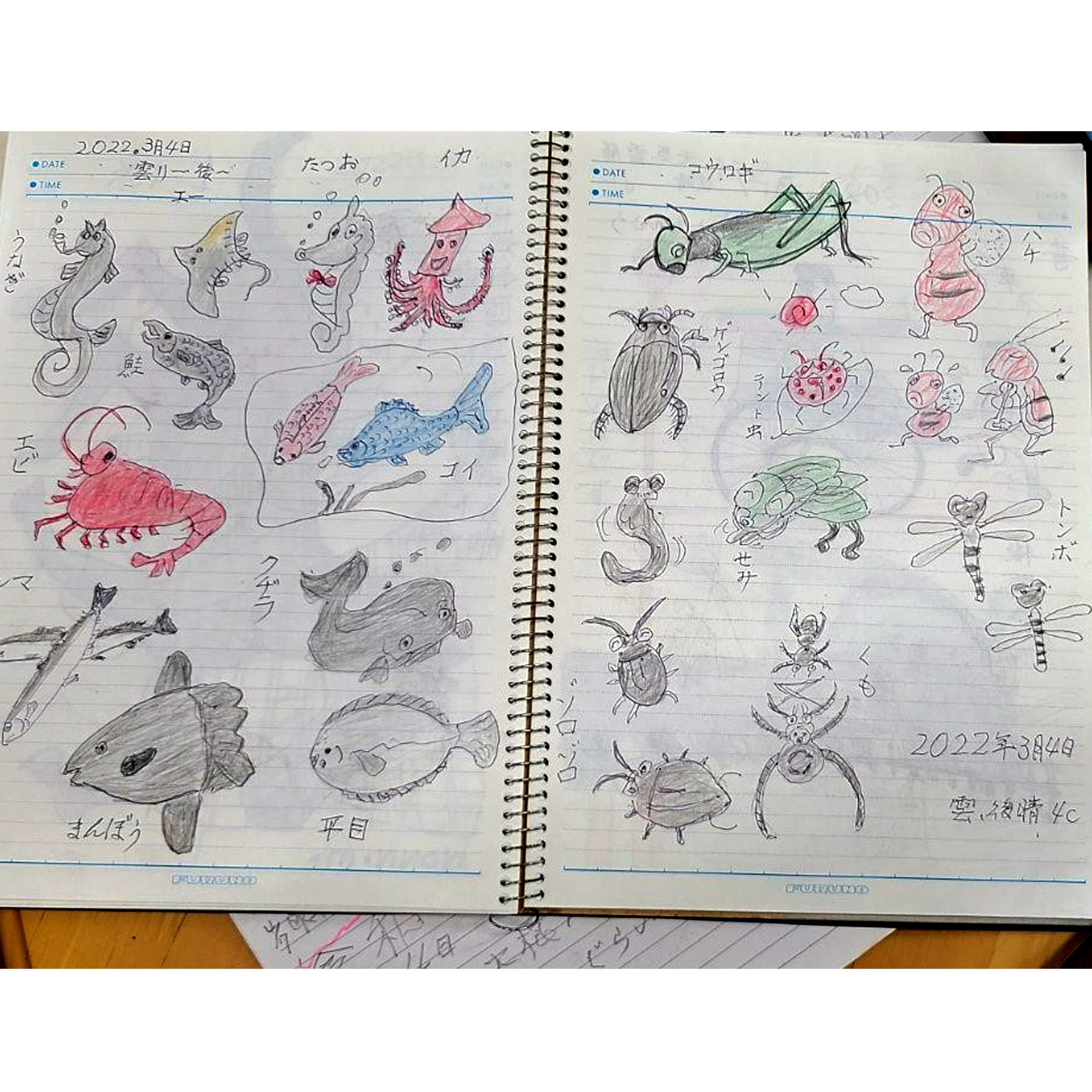 秋田県秋田市雄和町出身　鮫公民館協力会副会長　工藤長四郎さん　１０１才の写真4