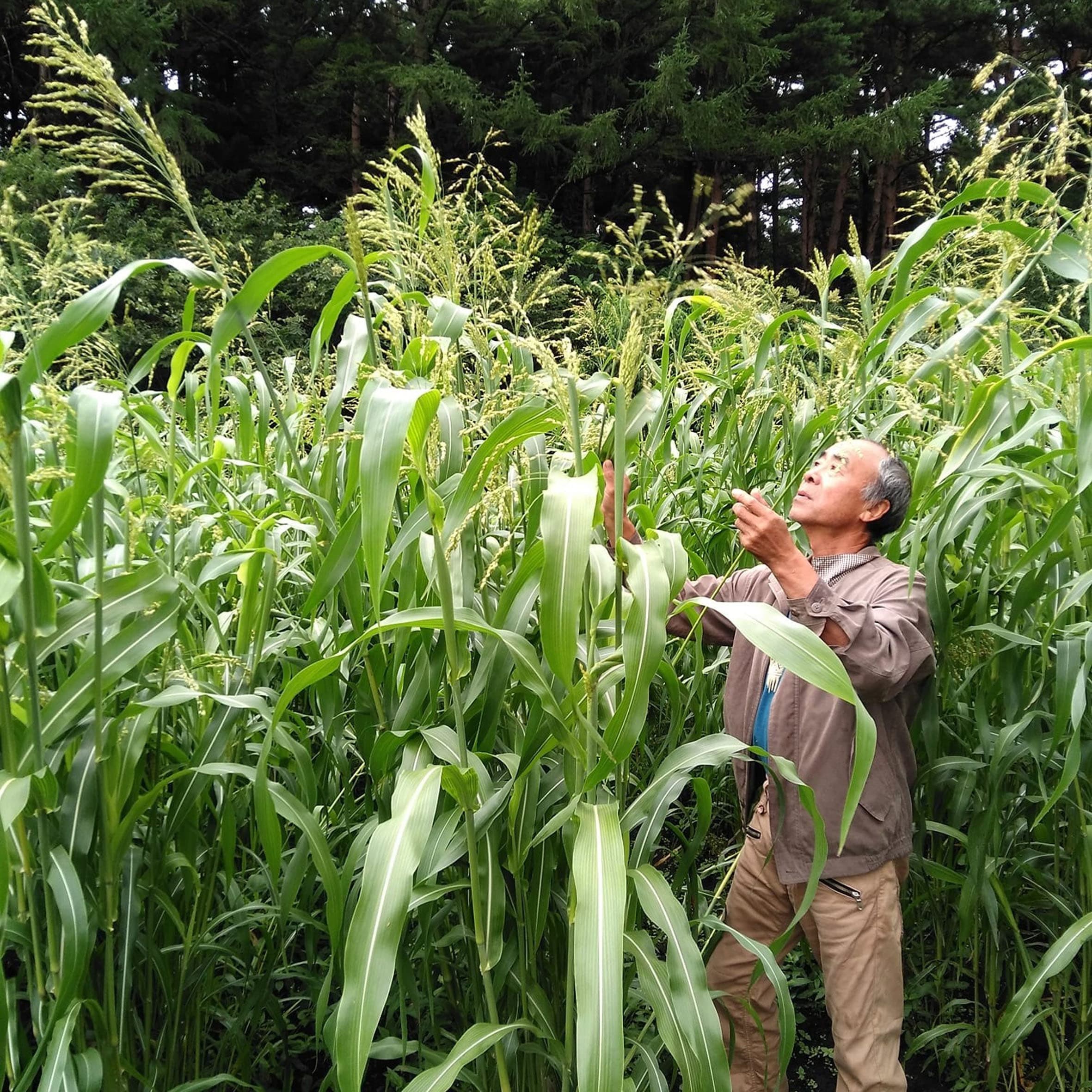 三戸郡出身　佐京窯オーナー　佐京三義さん　60代　
八戸市出身　佐京和子さん　60代の写真3